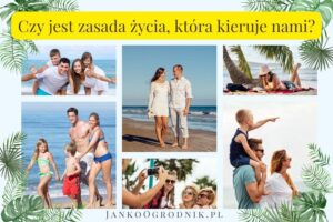 Czy jest zasada życia, która kieruje nami? #9 9 Czy jest zasada życia, która kieruje nami