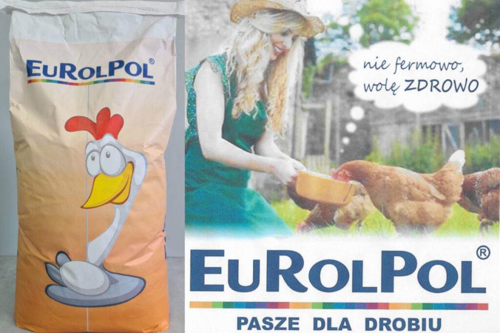 Otwórz własny Wiejski Punkt Handlowy (WPH) 2 Pasza jajo