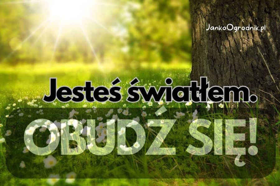 To, czym naprawdę jesteśmy nie boi się. #18